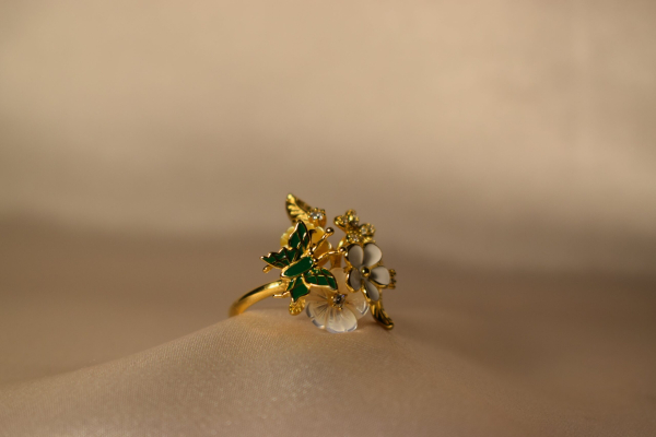 Anillo jardín.