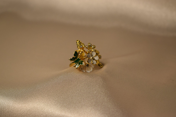 Anillo jardín. - Imagen 2